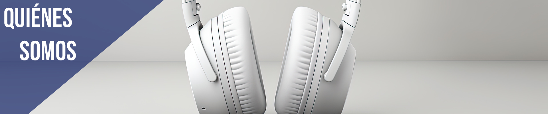PLAYSERVICE | Quiénes Somos